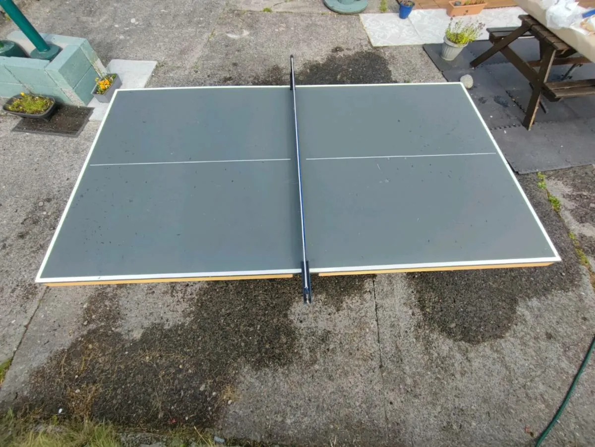 Premium table tennis table - Image 1