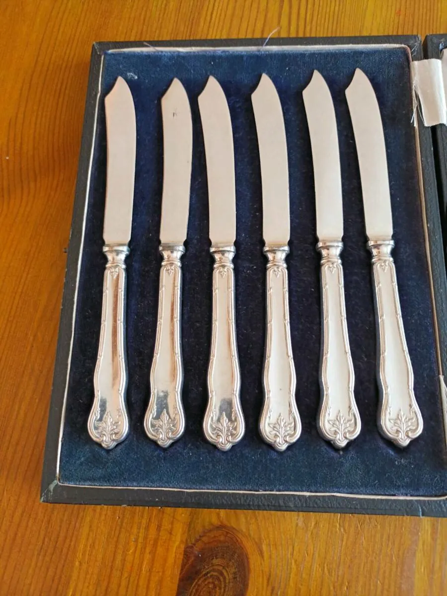 Antique Cased Set of 6 Cake Knives/Butter Spreader - Image 2