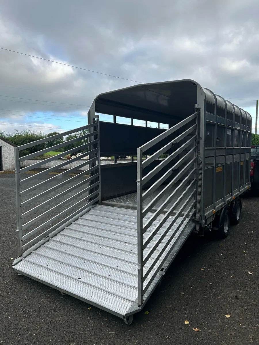 Ifor Williams 12x6 Demountable Cattle Trailer - Image 3