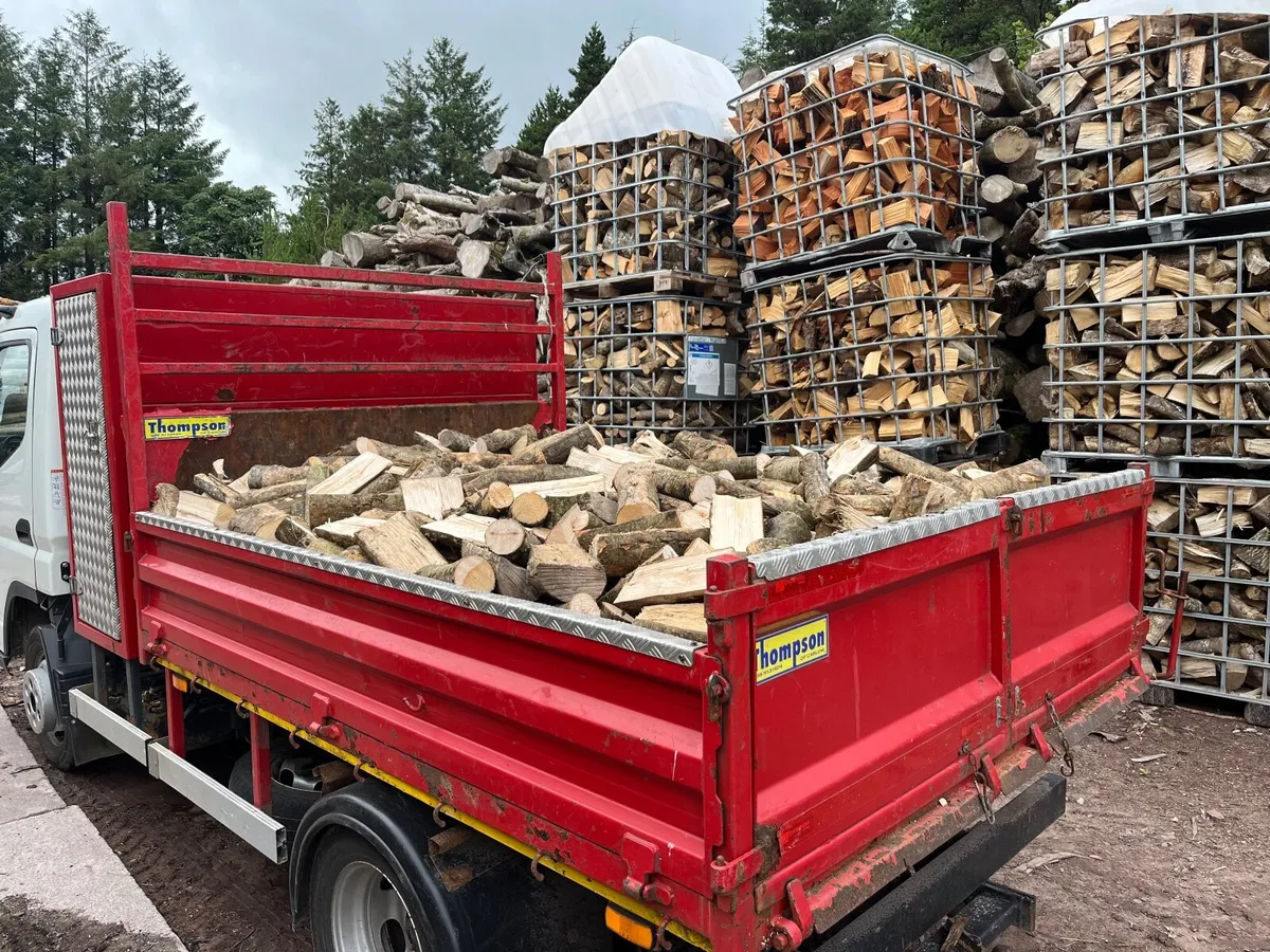 Firewood - Image 3