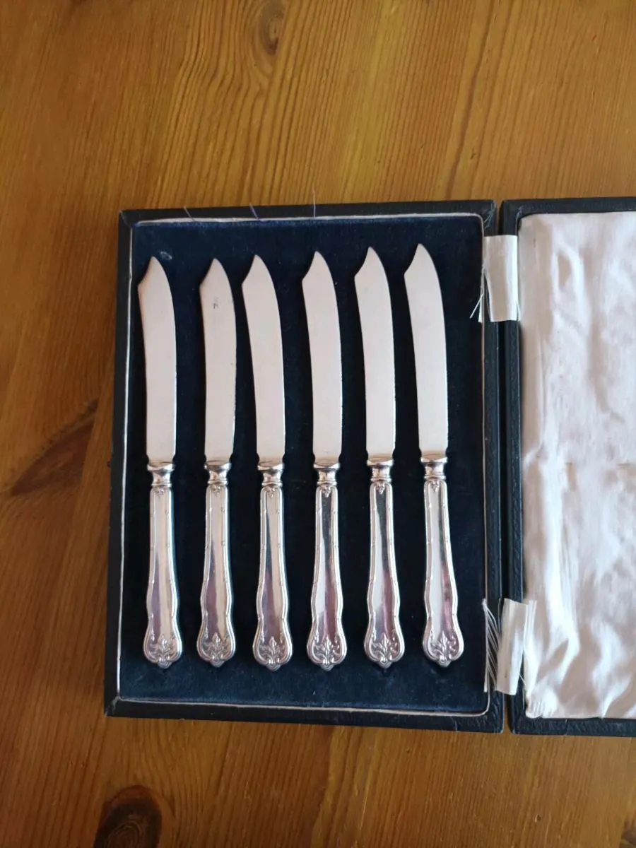 Antique Cased Set of 6 Cake Knives/Butter Spreader - Image 1