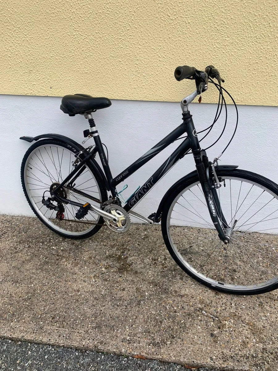 Ladies Hybrid Bike - Image 1