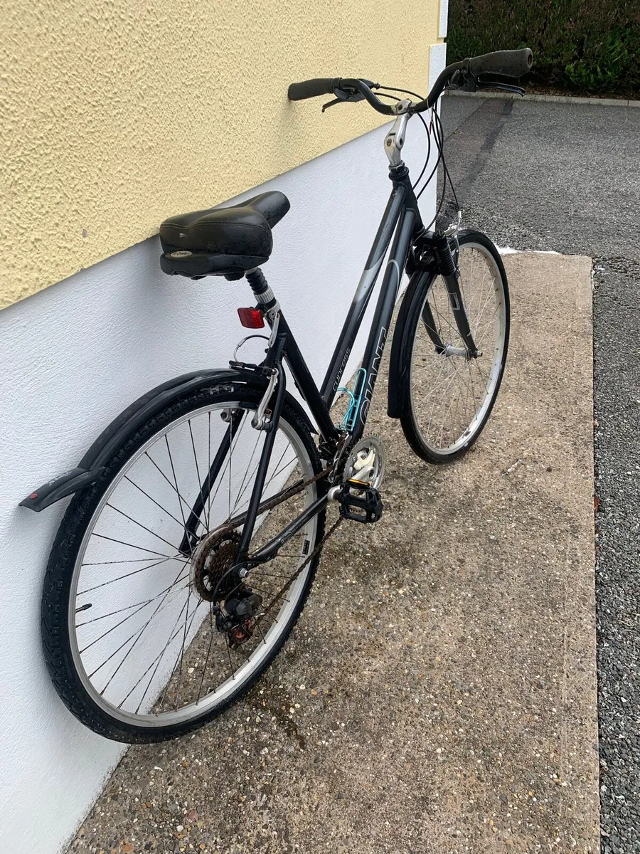 Ladies Hybrid Bike - Image 2
