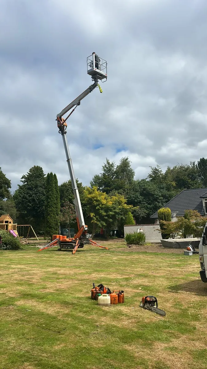 Cherry picker - Image 1