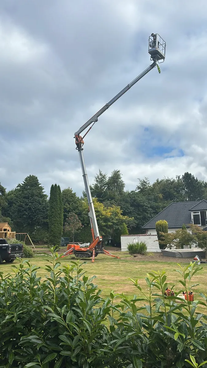 Cherry picker - Image 4