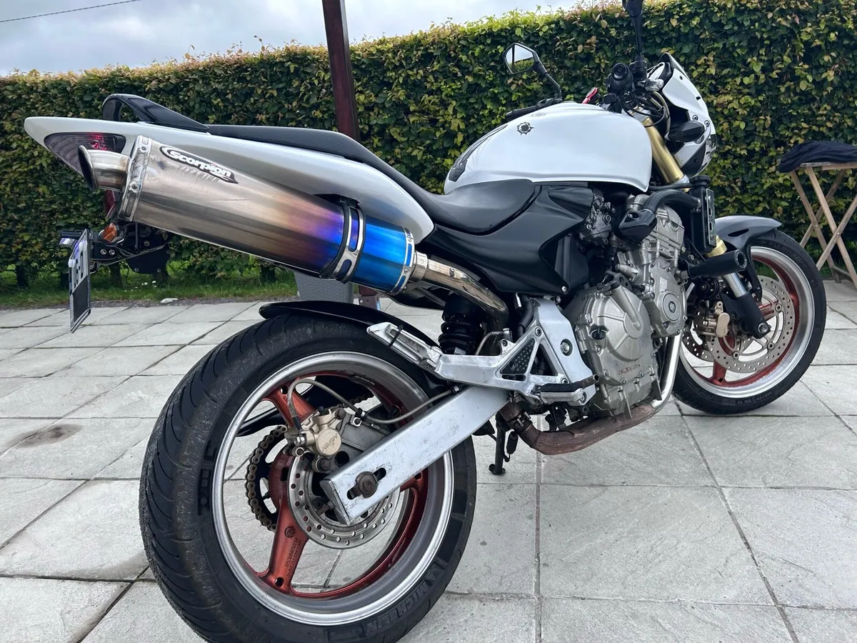 Honda CB600 Hornet - Image 2