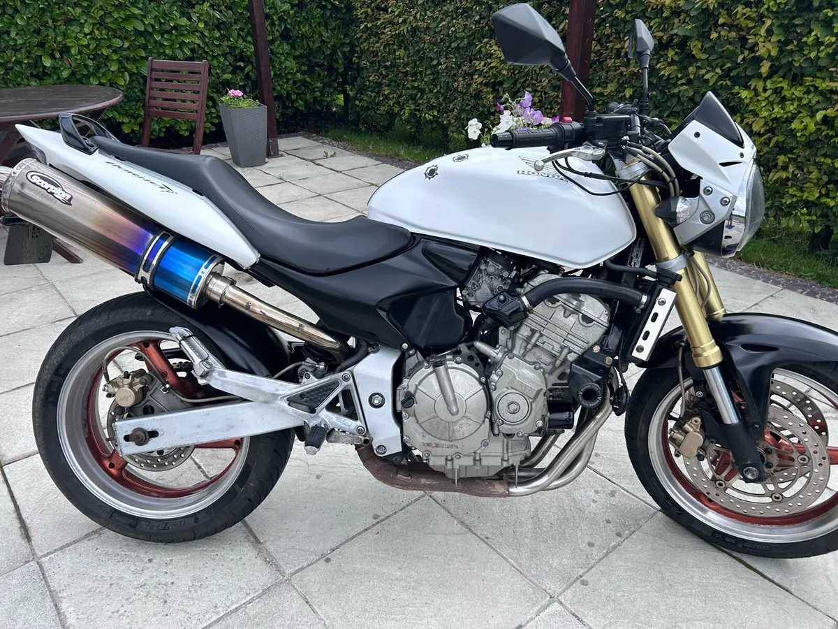 Honda CB600 Hornet - Image 4