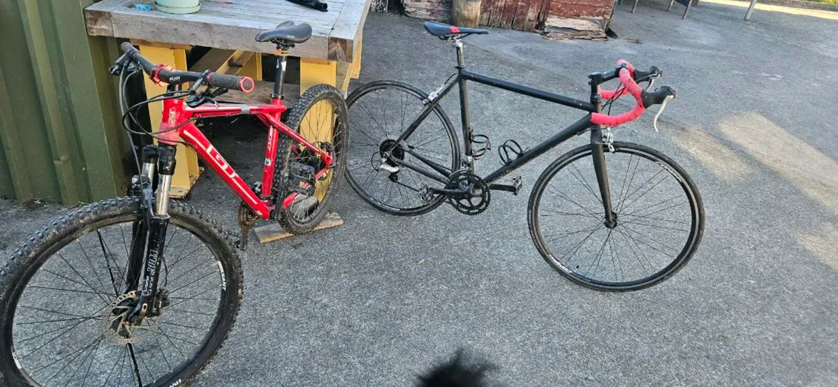 Bicycle - Image 2