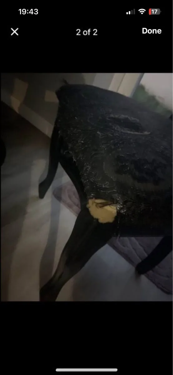Table and chairs - Image 3