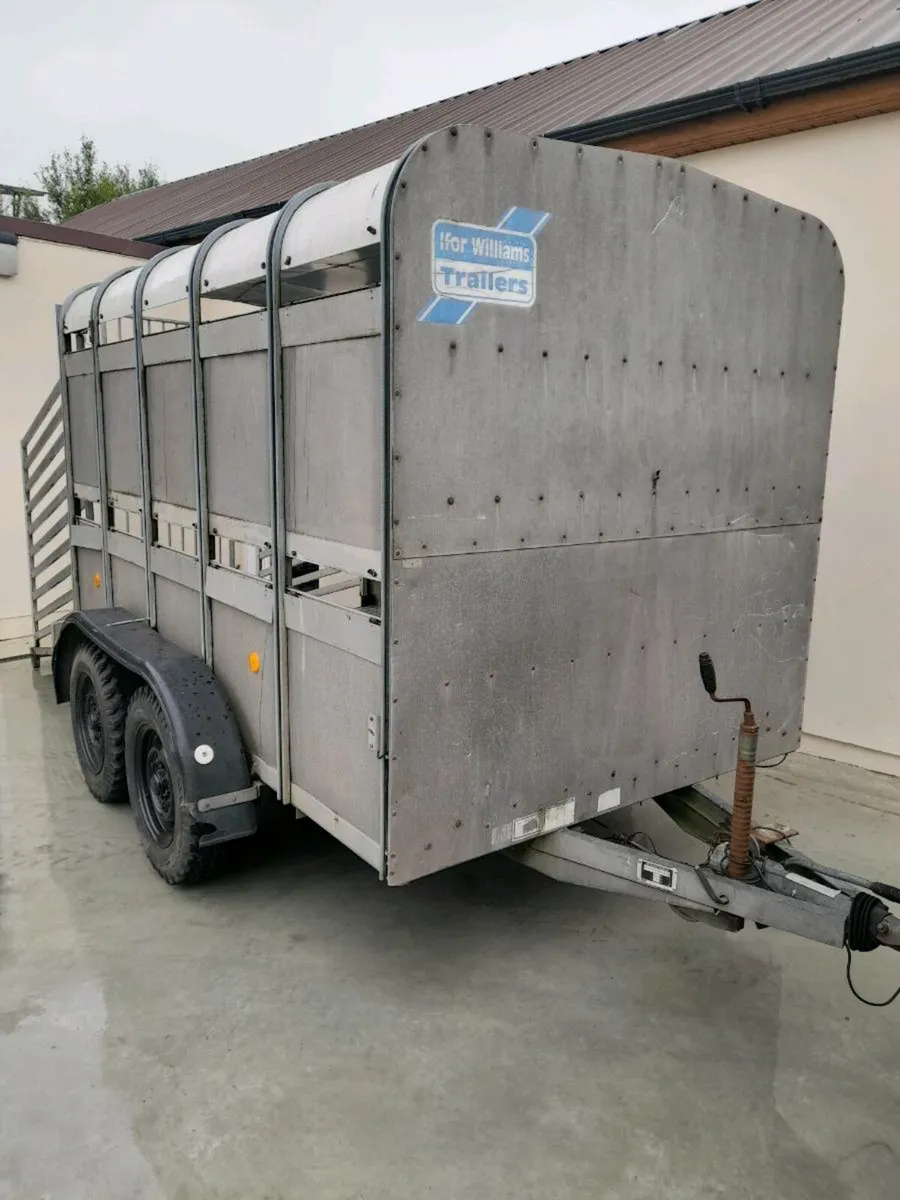 Sheep trailer 10x5 - Image 1
