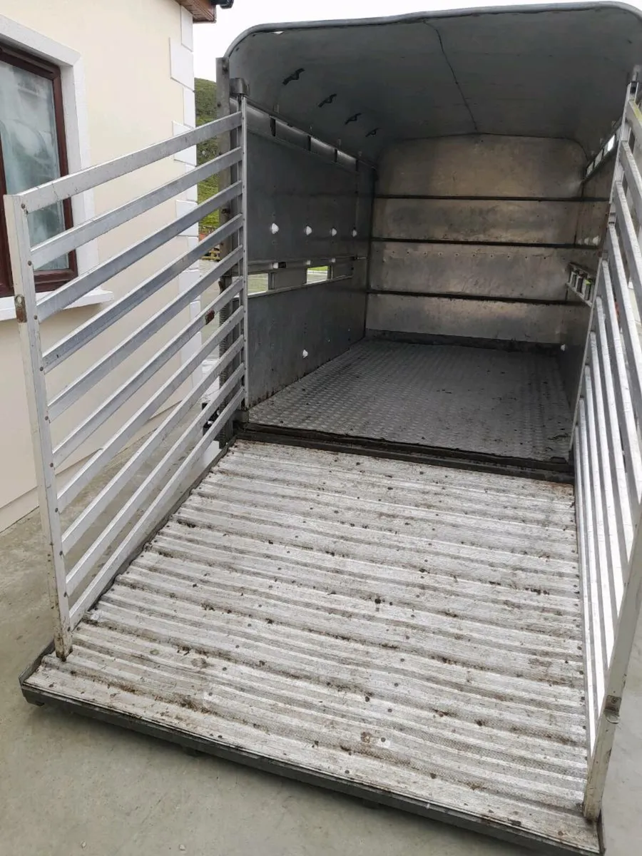 Sheep trailer 10x5 - Image 2