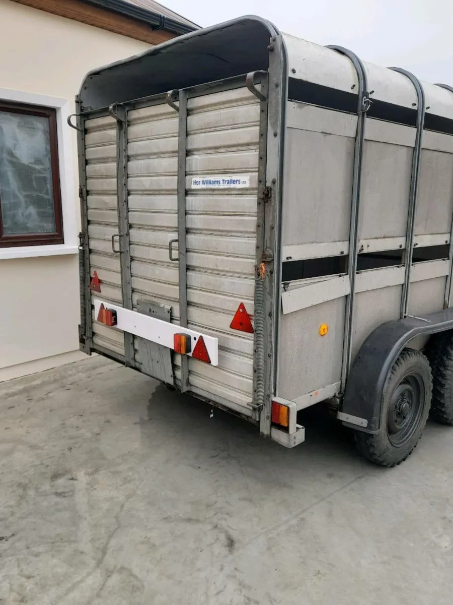 Sheep trailer 10x5 - Image 3