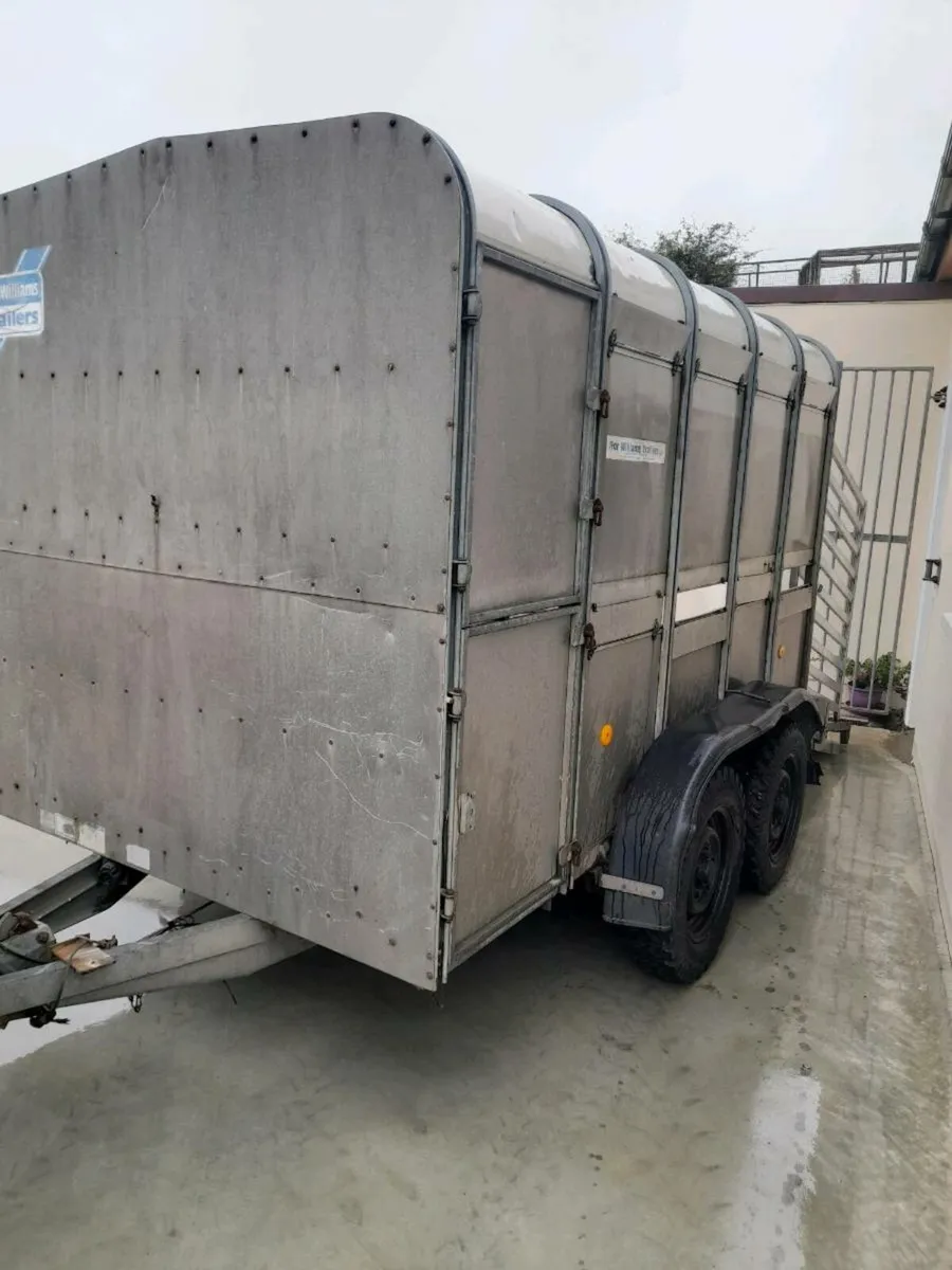 Sheep trailer 10x5 - Image 4