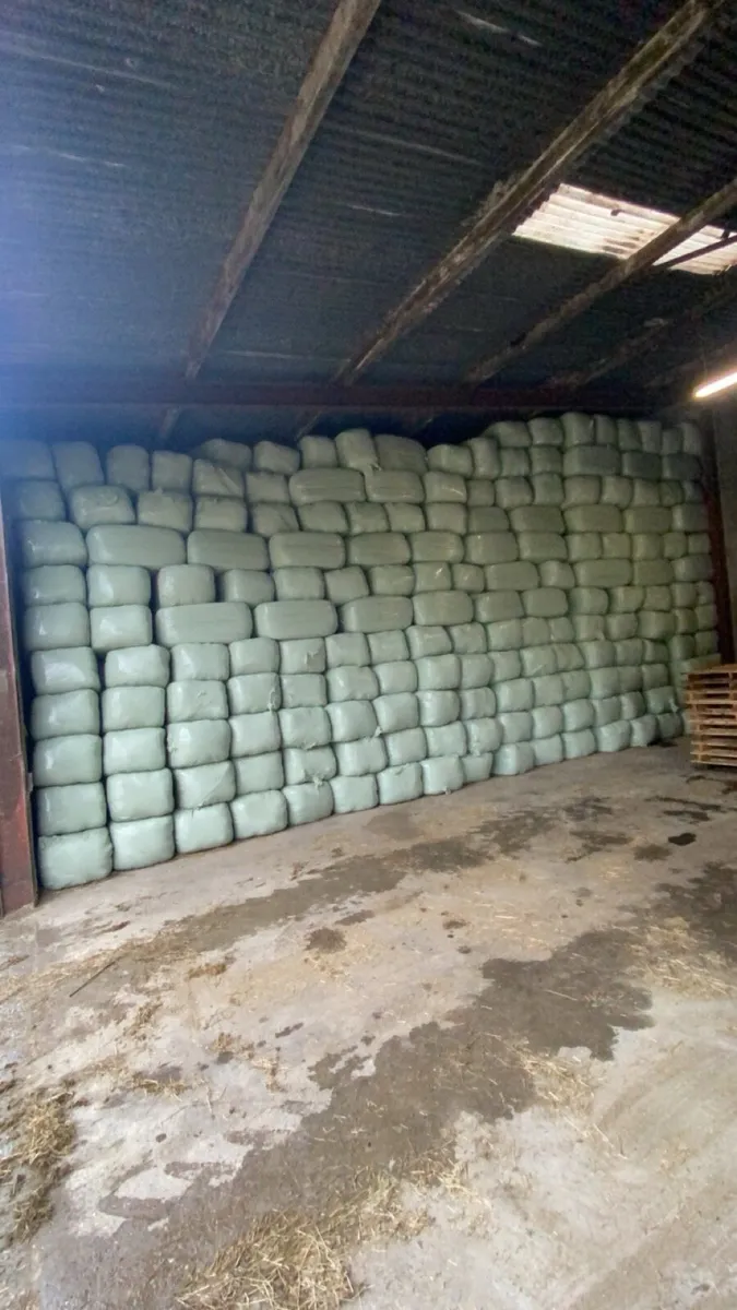 Haylage - Image 1