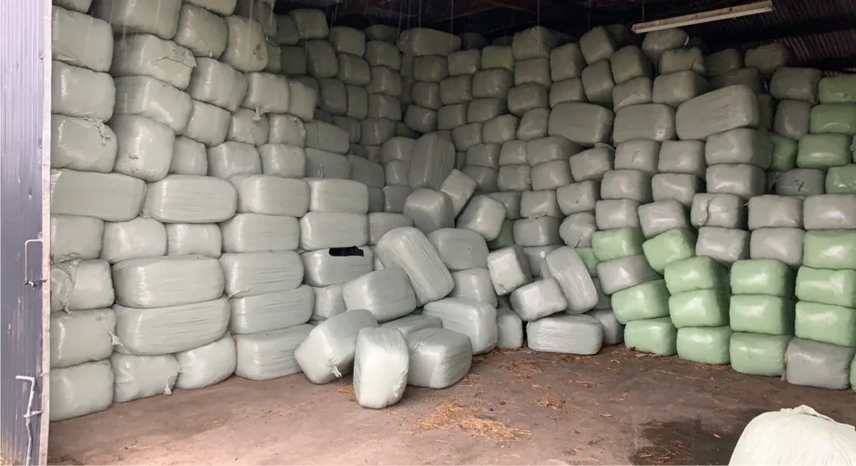 Haylage - Image 2