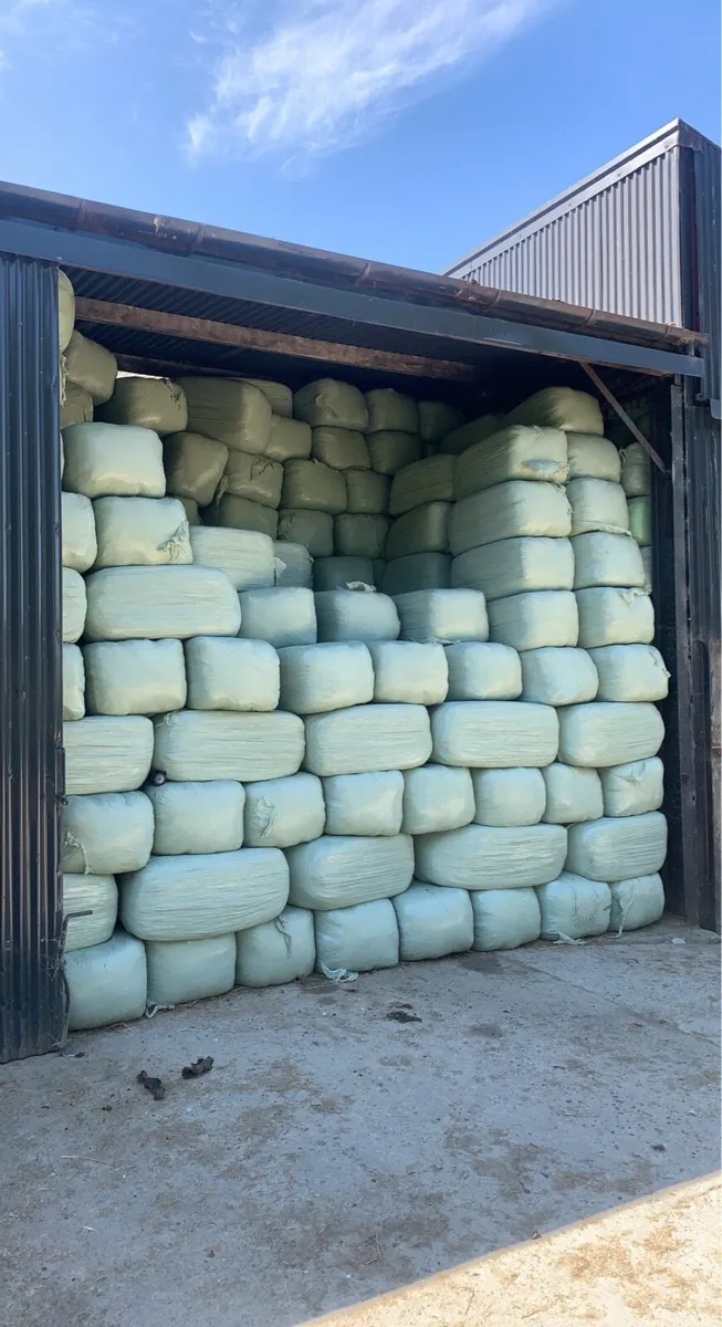 Haylage - Image 3