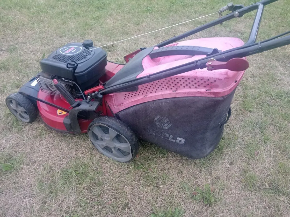 Lawnmowers - Image 4