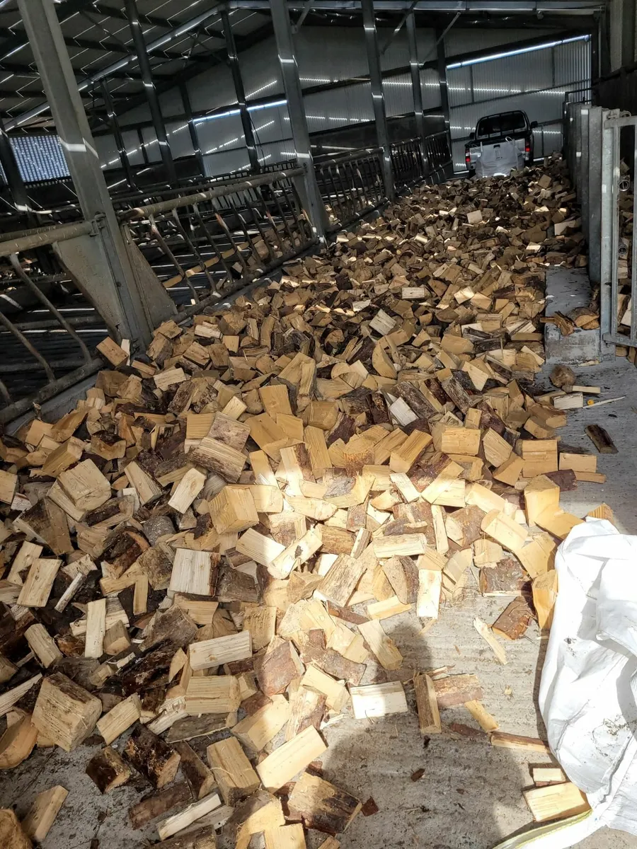 Firewood - Image 1