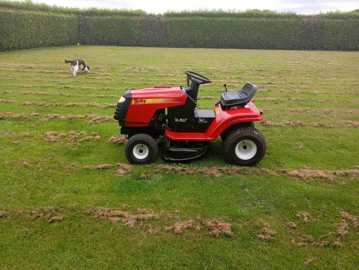 MOWER * (read ad )* - Image 3