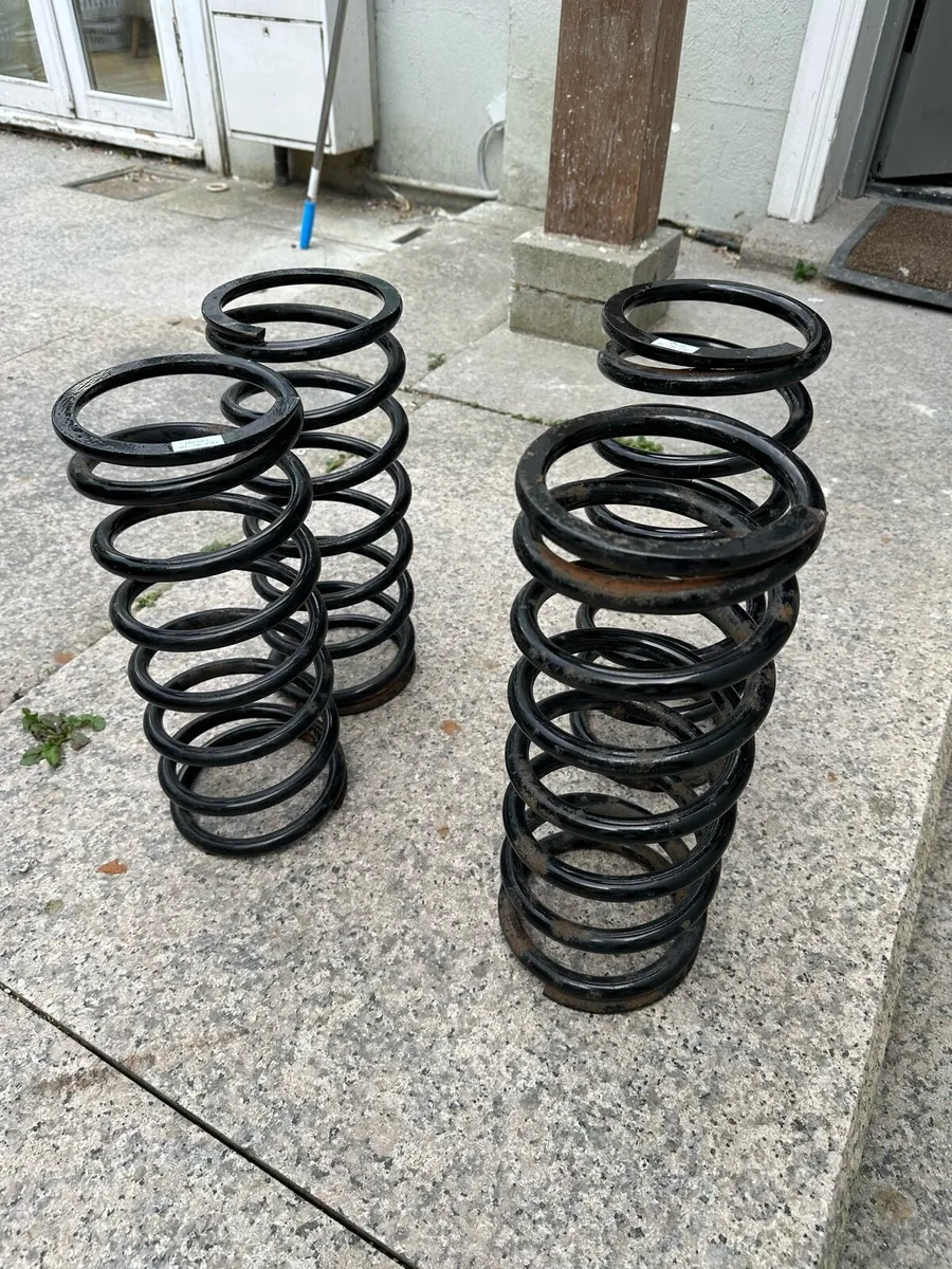 Defender 1 inch Lowering Springs set - Image 4