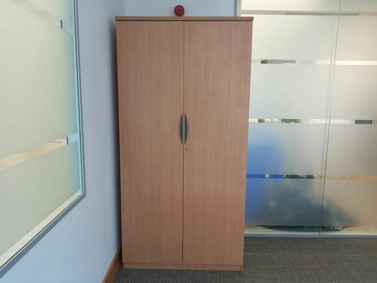 Delivery - Large Storage Cabinet for Sale - Image 4