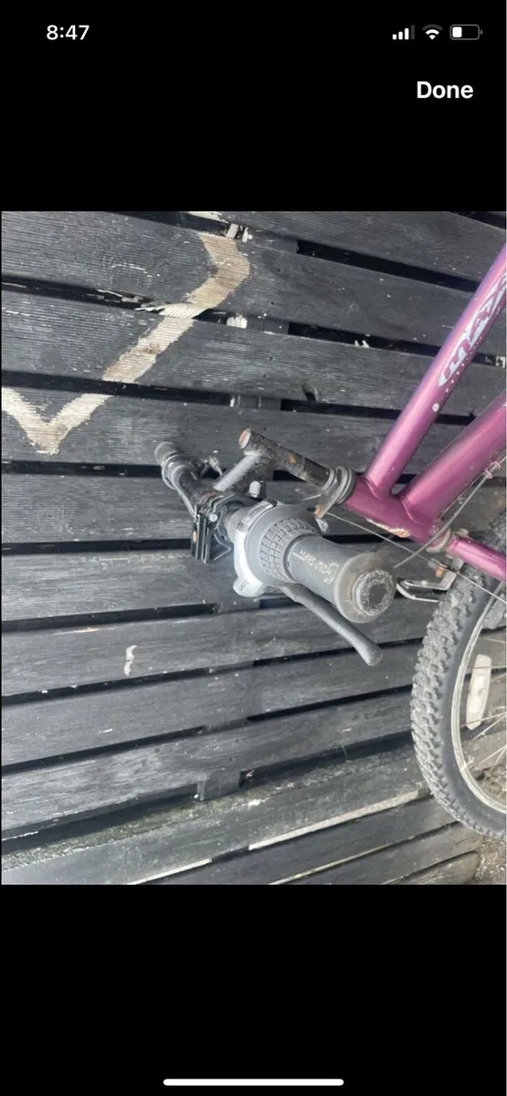 Raleigh max women’s bike - Image 1
