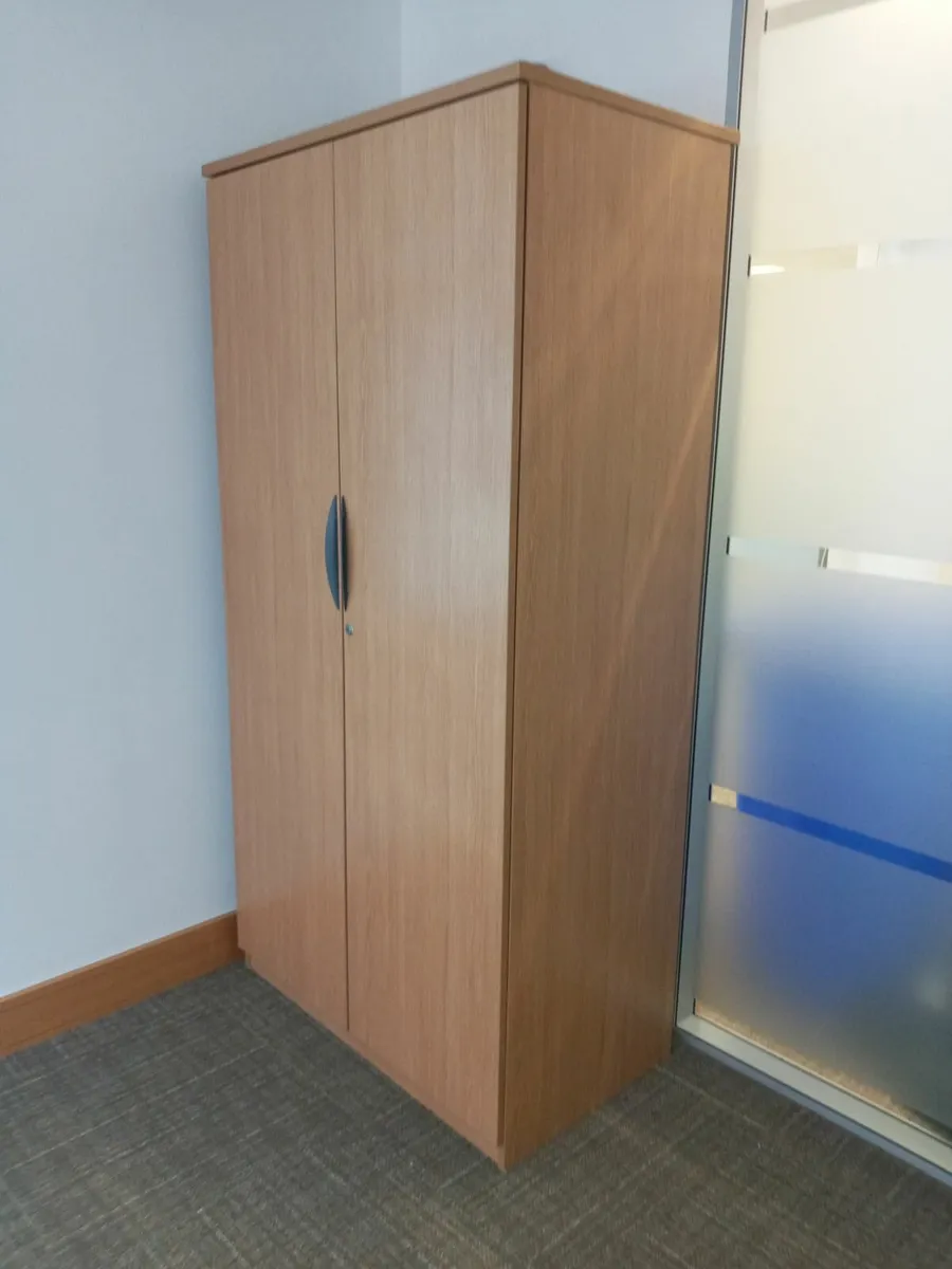 Delivery - Large Storage Cabinet for Sale - Image 4