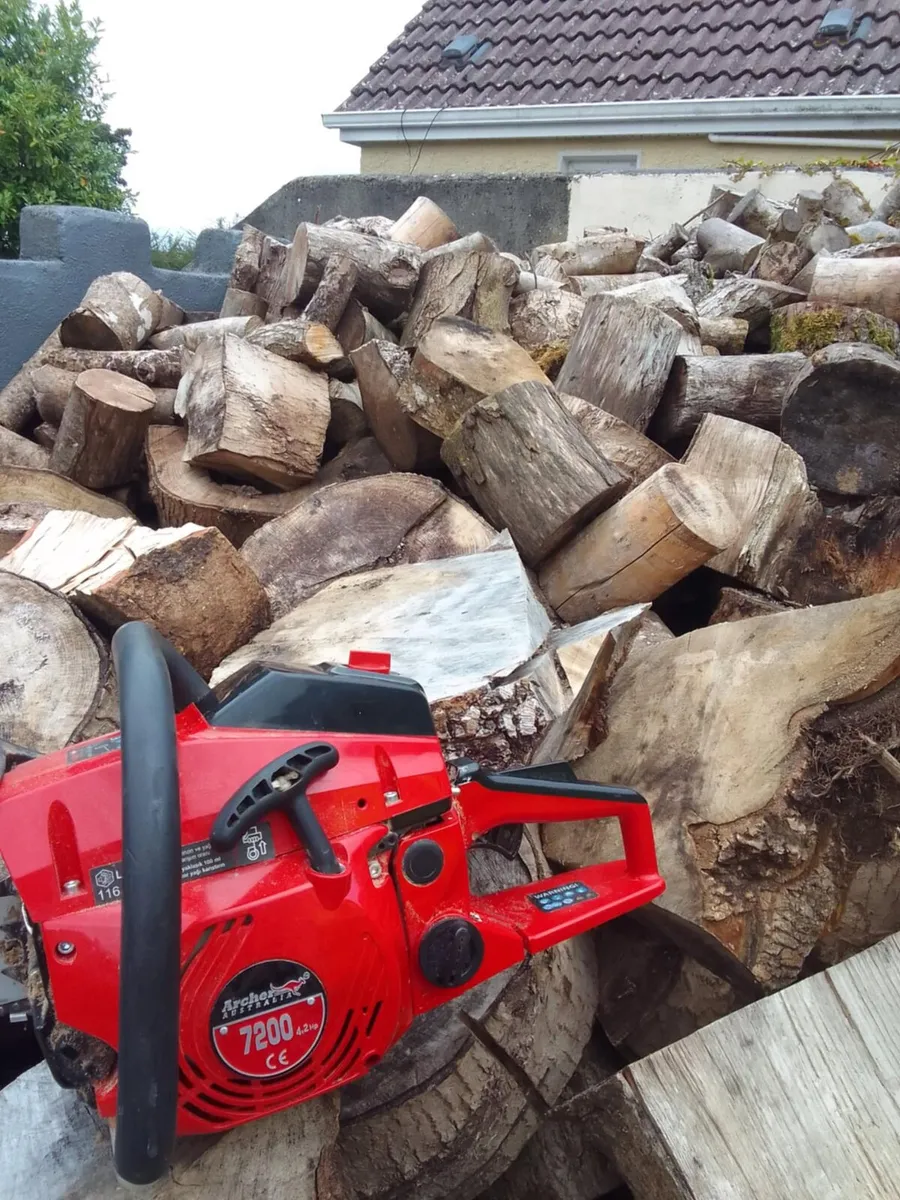 Chainsaw - Image 1