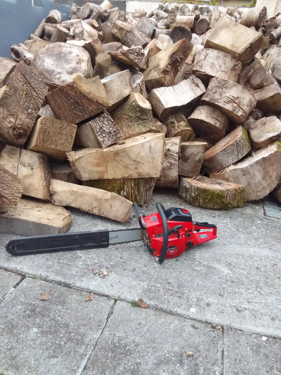 Chainsaw - Image 2