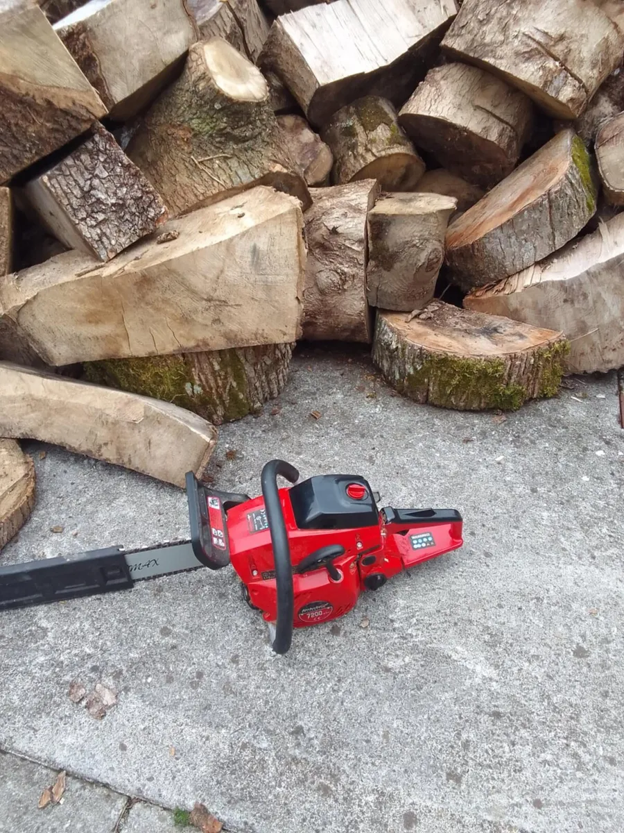Chainsaw - Image 3