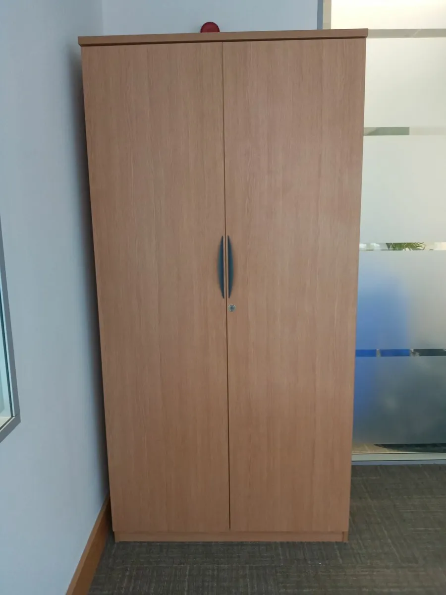 Delivery - Large Storage Cabinet for Sale - Image 2