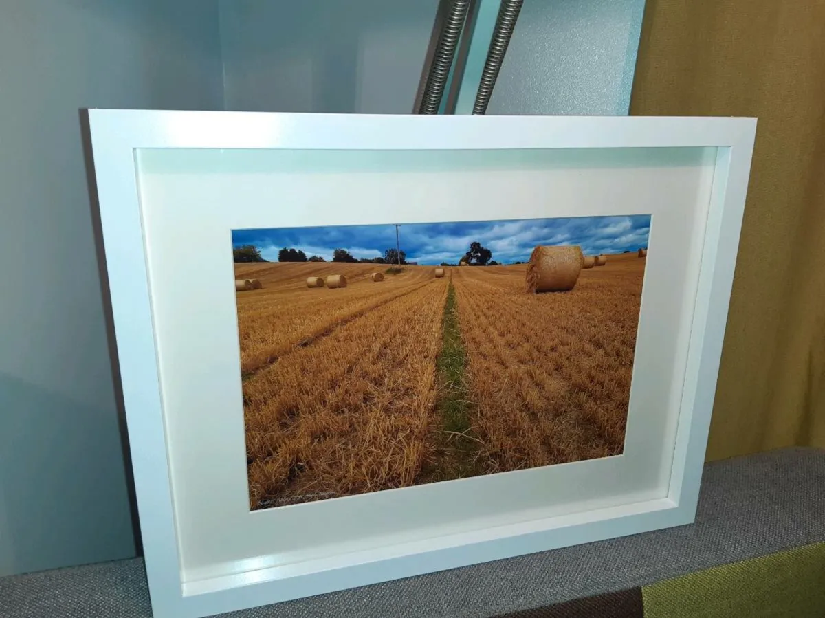 Ballyannan, Midleton - Image 3