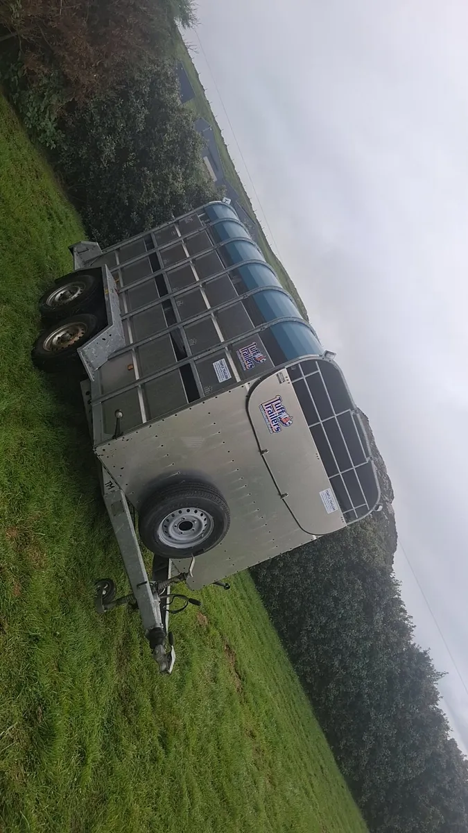 12X6 Cattle Trailer - Image 1