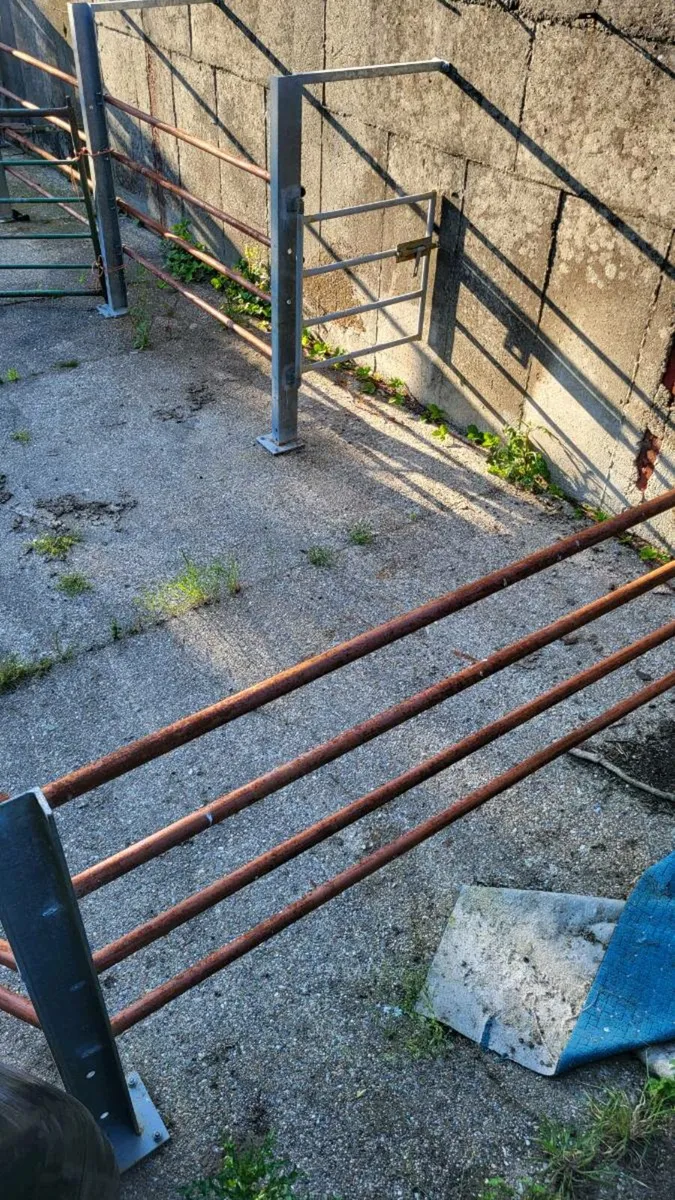 Cattle crush - Image 3