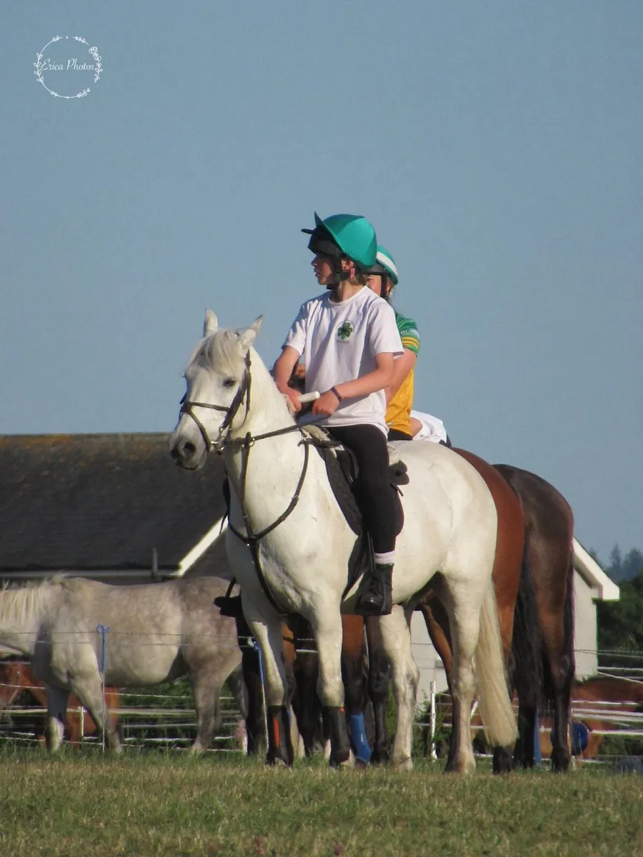 Potential games pony for sale - Image 3