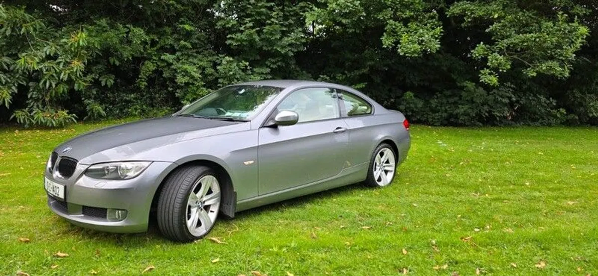 2010 BMW 3 Series - Image 1