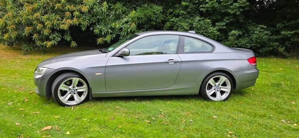 2010 BMW 3 Series - Image 3