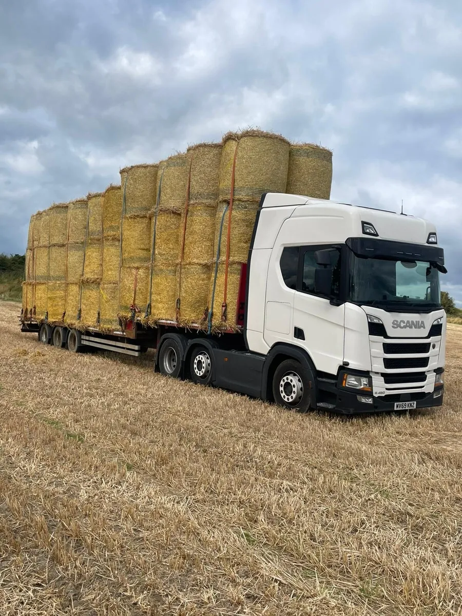 Round bales of spring and winter barley straw - Image 1