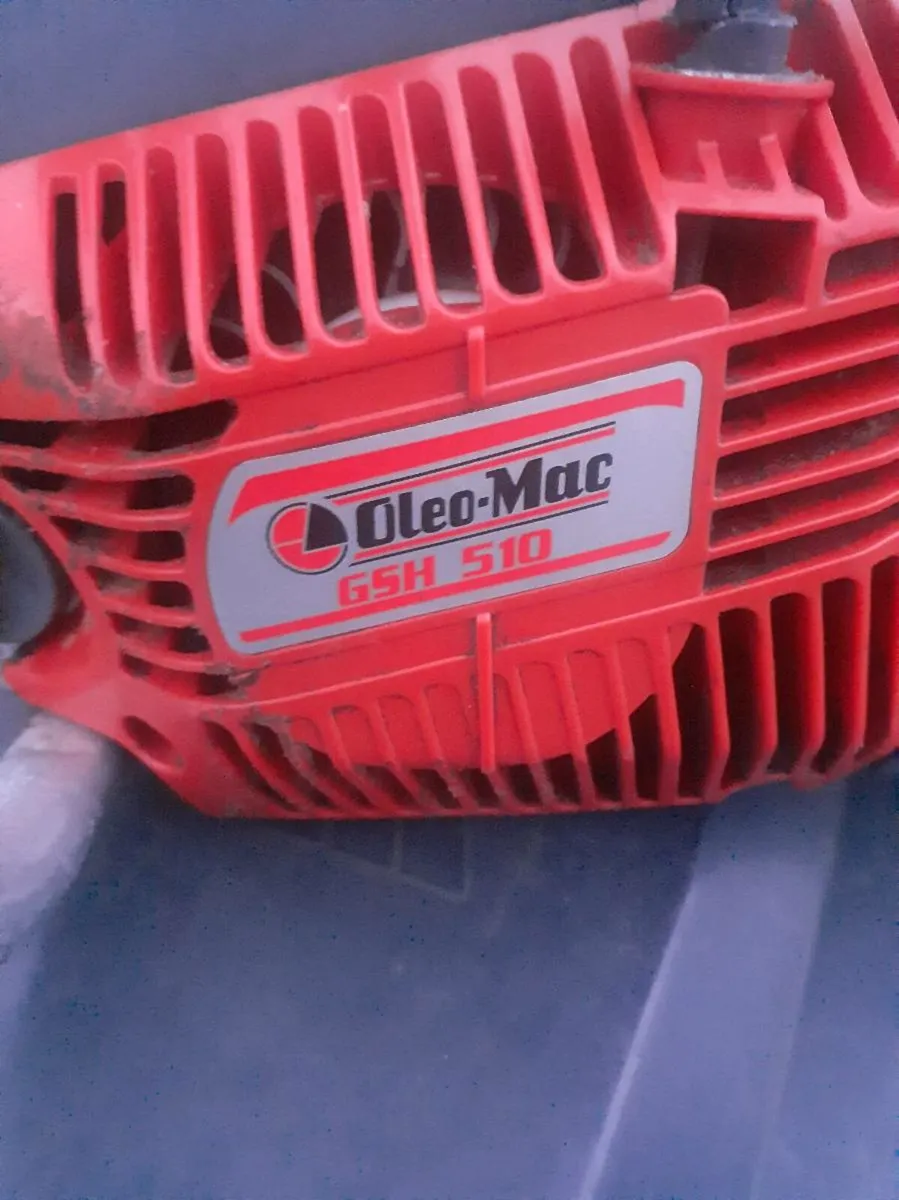 Oleo mac - Image 1