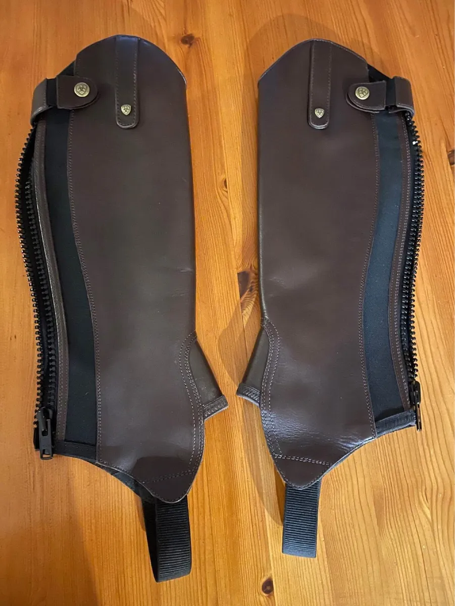Ariat brown adult chaps - Image 1