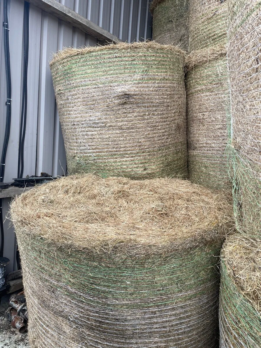 Hay Forsale - Image 1