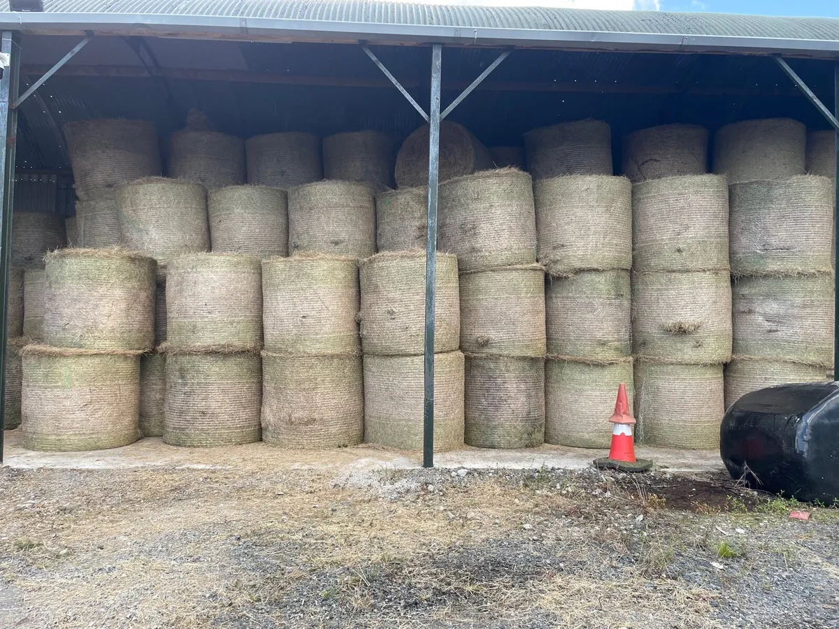 Hay Forsale - Image 2