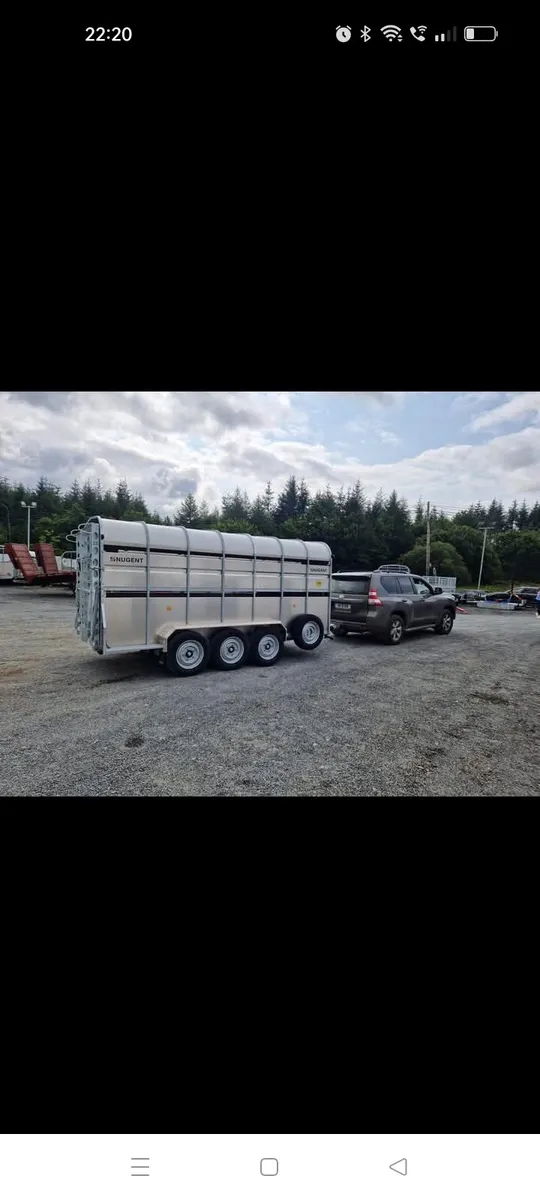 Cattle Haulage