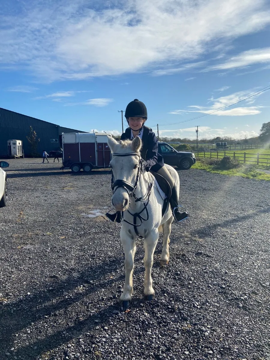 Pony - Image 1