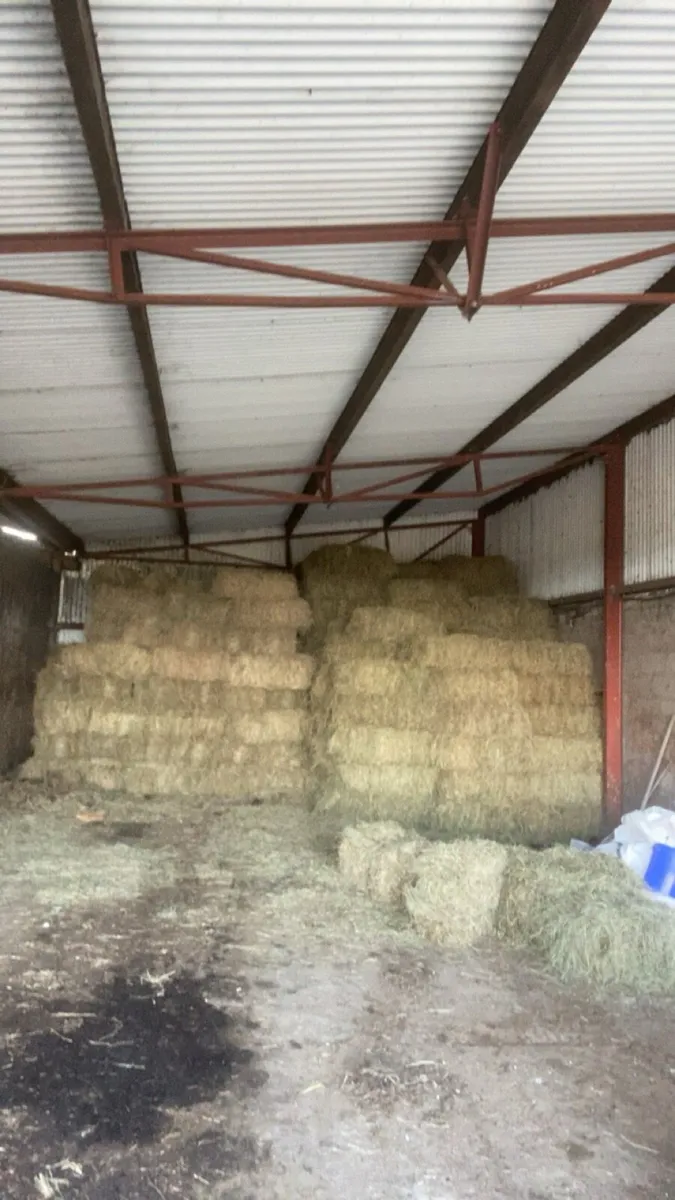 Small square bales hay - Image 2