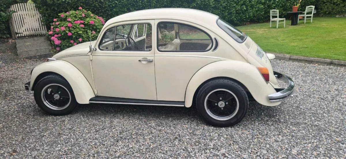 Beetle - Image 2