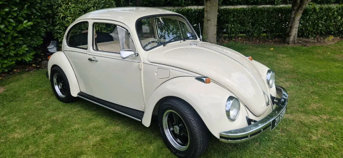 Beetle - Image 1
