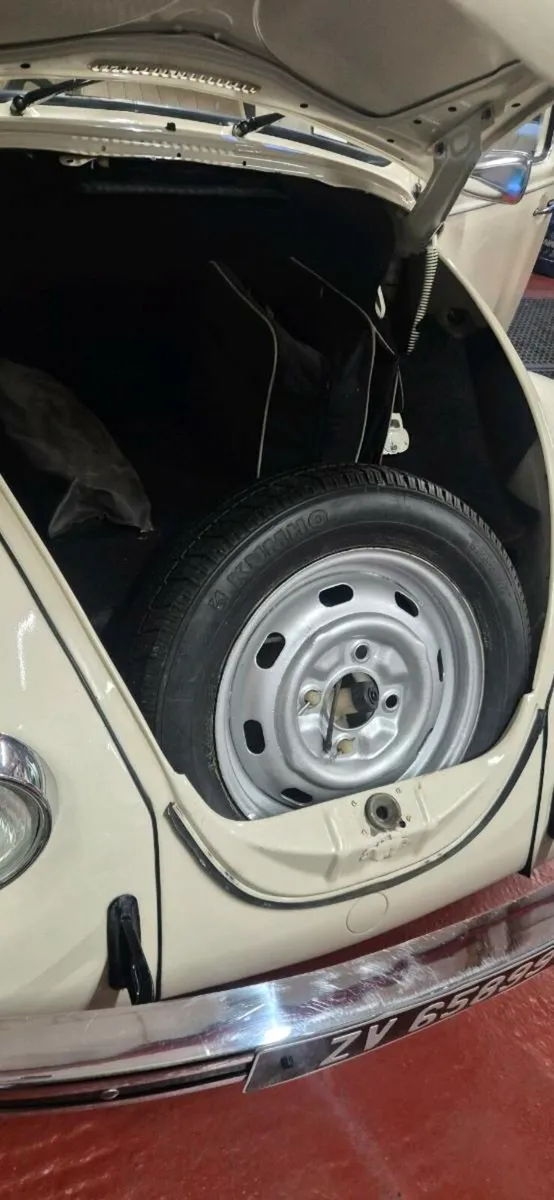 Beetle - Image 4