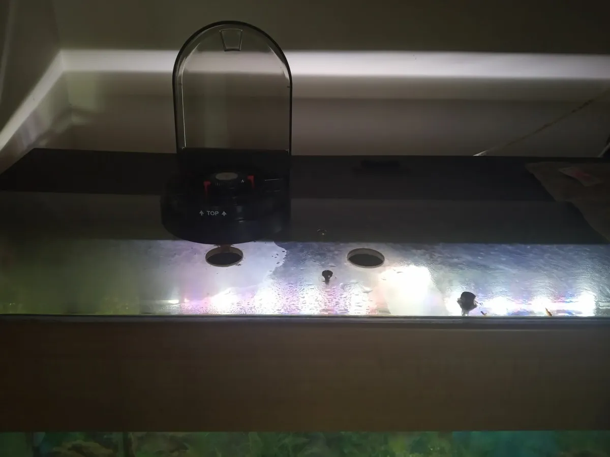 Fish tank/aquarium 180L with cabinet, equipment - Image 3