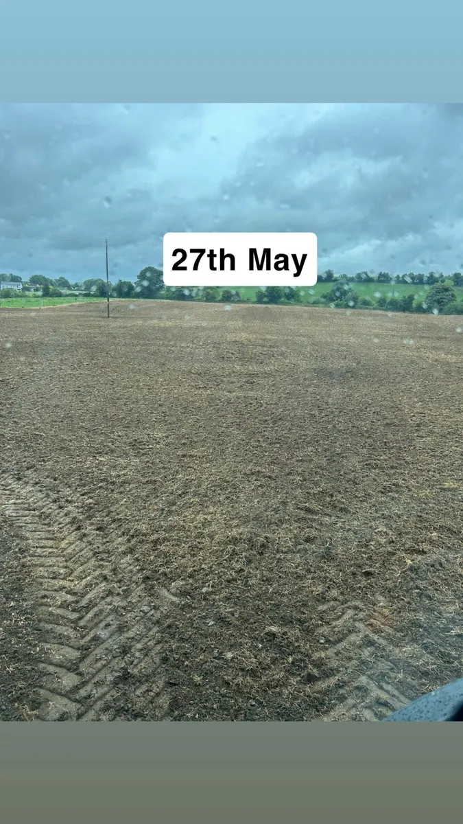 Direct drilling / Grass stitching - Image 2